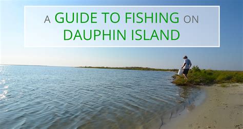 Where to fish on dauphin island  Gaines is located, there is ample public parking for a wade-fisherman to embark from